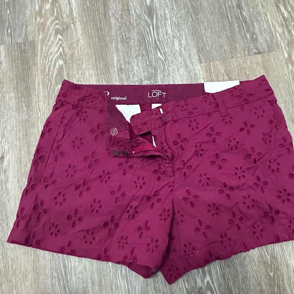 LOFT Eyelet Shorts ladies shorts are a size 12